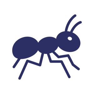 Karıncalar